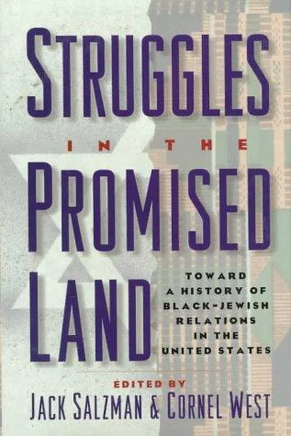 Capa de Struggles in the promised land