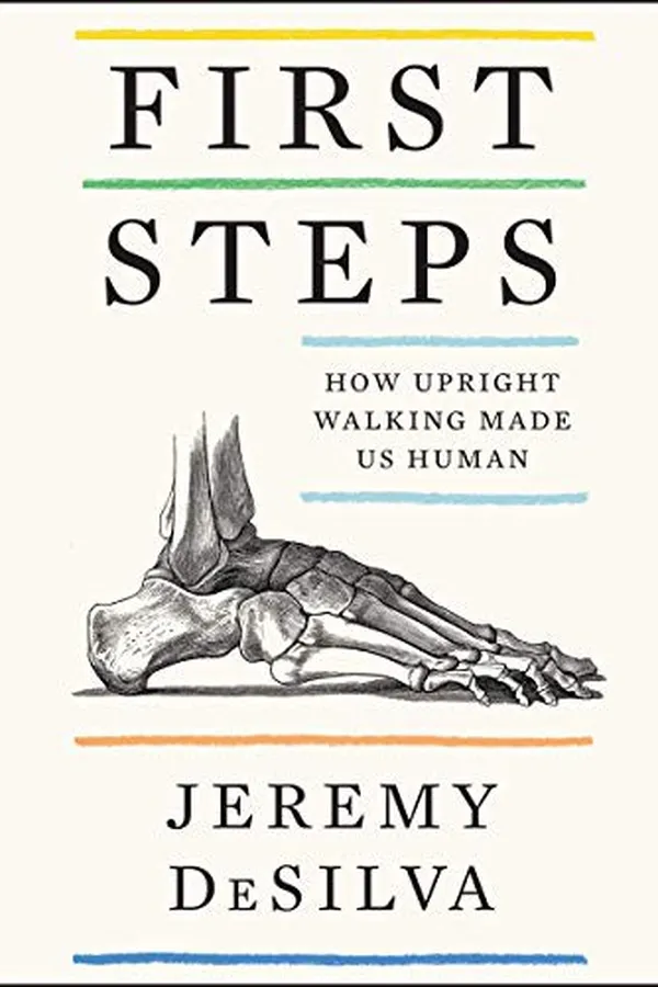 Cover of First Steps