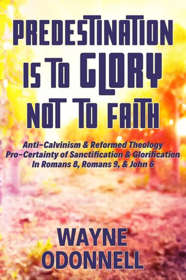 Capa de Predestination Is to Glory Not to Faith
