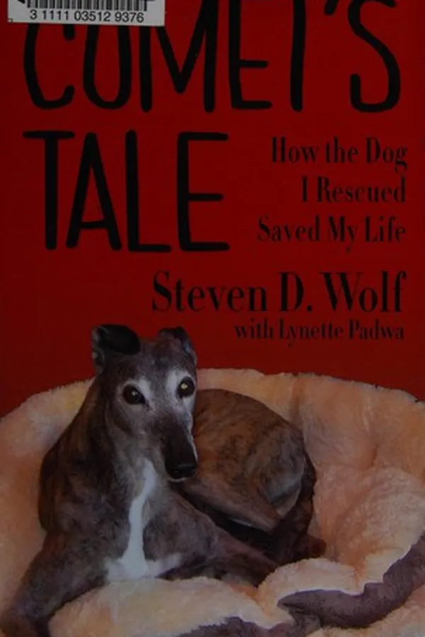 Capa de Comet's tale