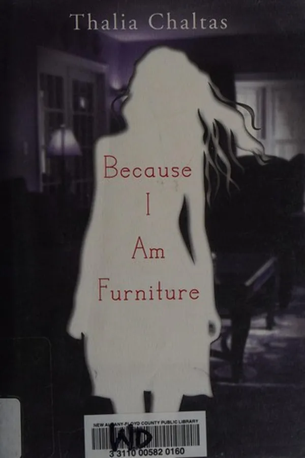 Capa de Because I am furniture