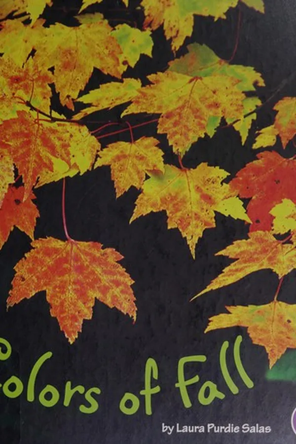 Capa de Colors of fall