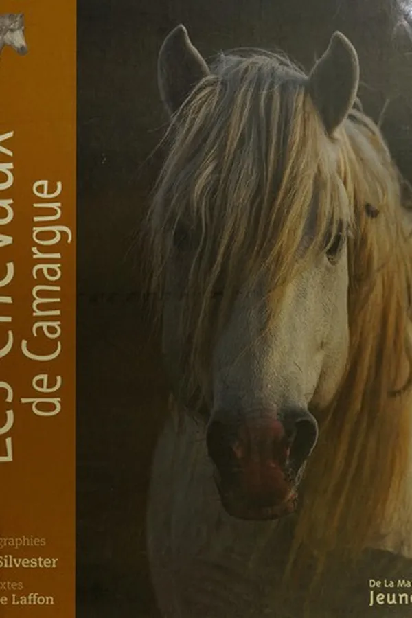 Capa de Les chevaux de Camargue