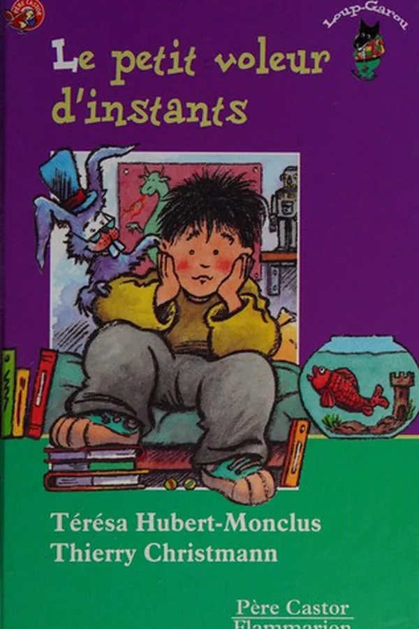 Capa de Le petit voleur d'instants