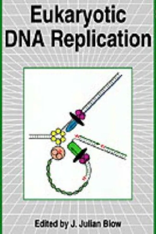 Capa de Eukaryotic DNA Replication