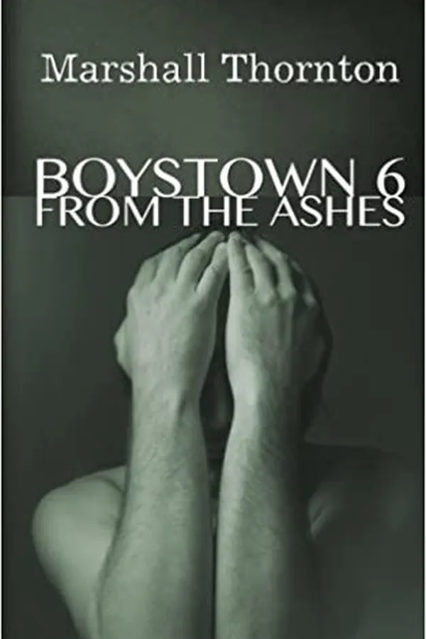 Capa de Boystown 6