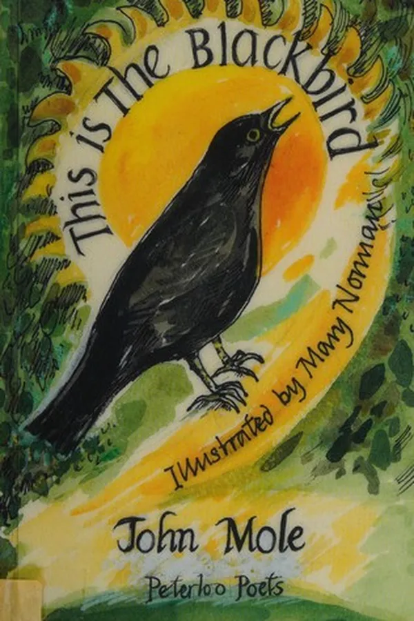 Capa de This is the blackbird