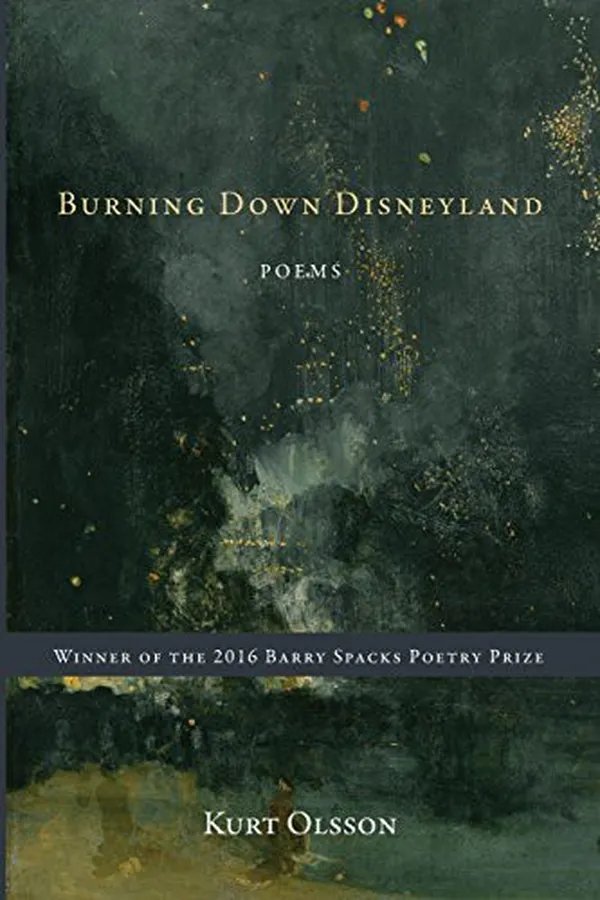 Cover of Burning Down Disneyland