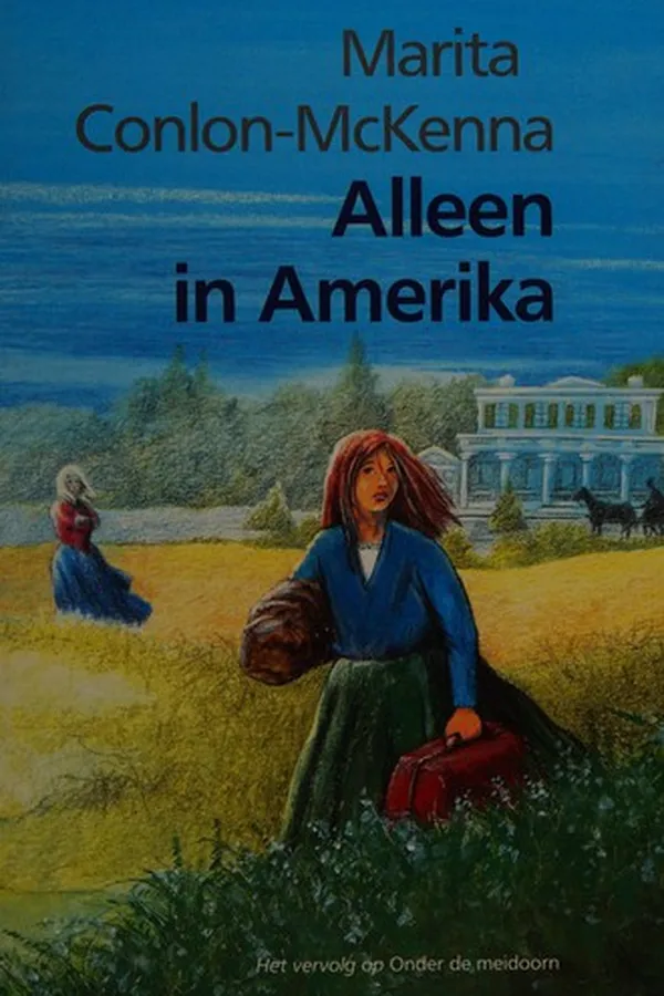 Capa de Alleen in Amerika
