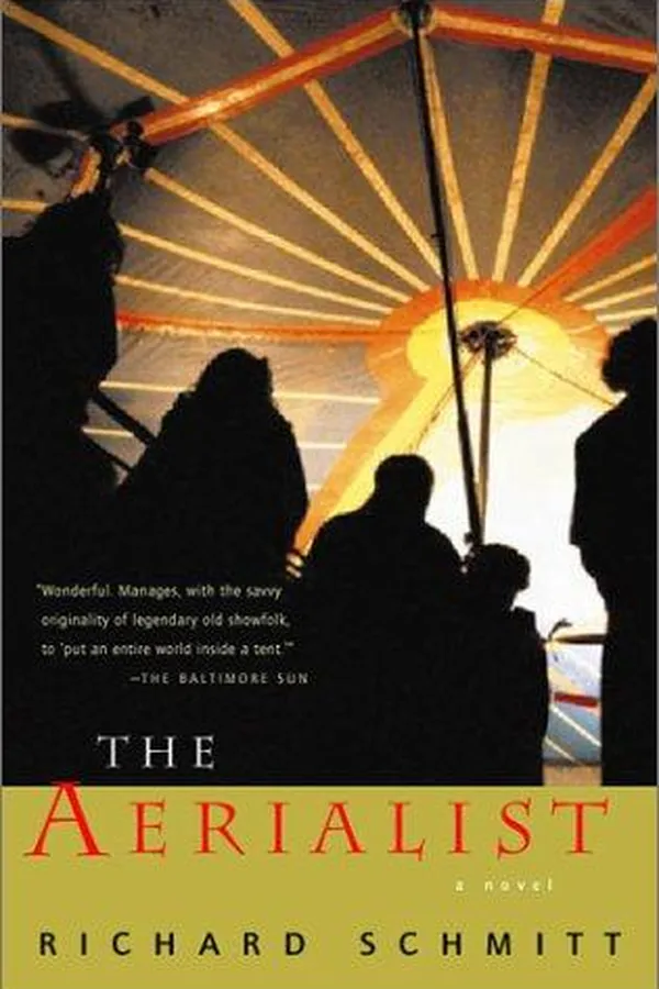 Capa de The aerialist