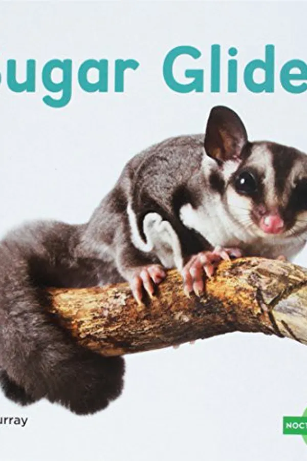Capa de Sugar Gliders