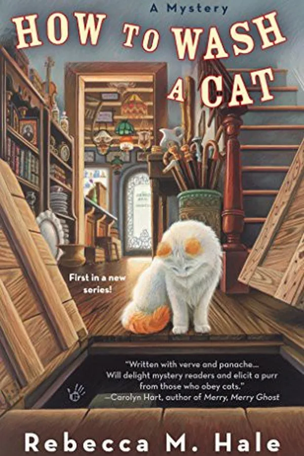 Capa de How to wash a cat