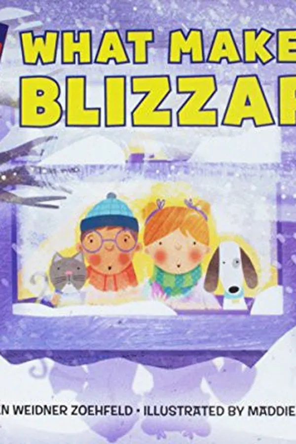 Cover of What makes a blizzard?