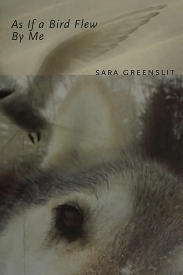 Capa de As if a bird flew by me
