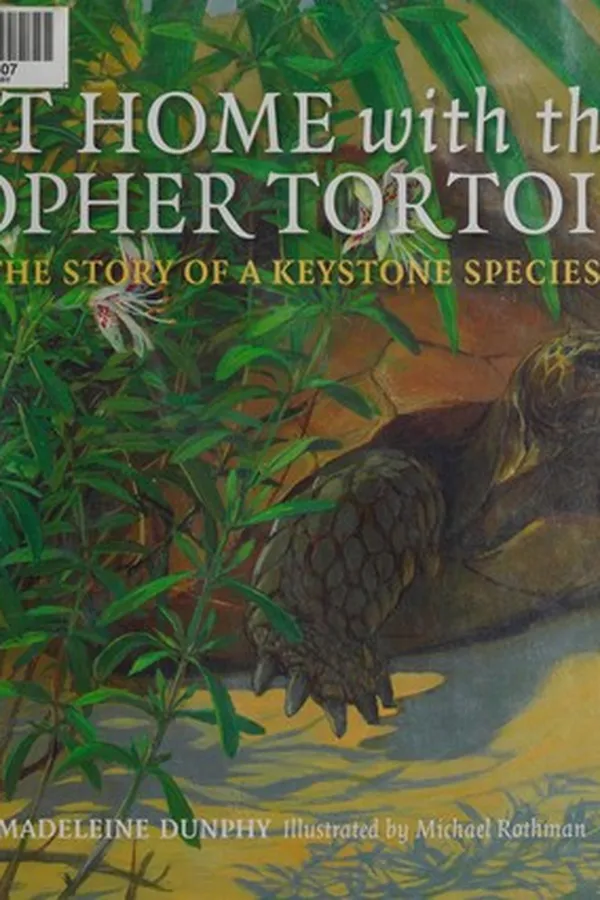 Capa de At home with the gopher tortoise