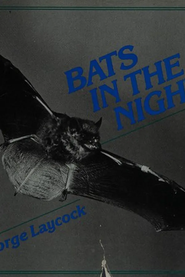 Capa de Bats in the night