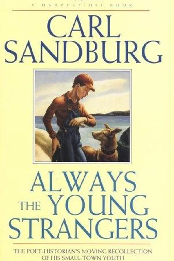 Capa de Always the young strangers