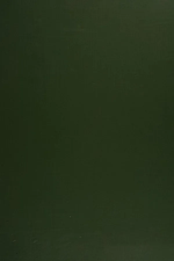 Capa de The bird life of Texas