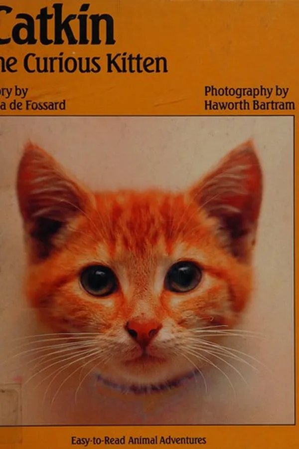 Capa de Catkin, the curious kitten