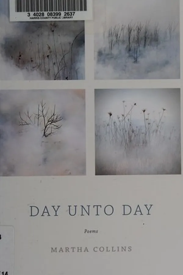 Capa de Day unto Day