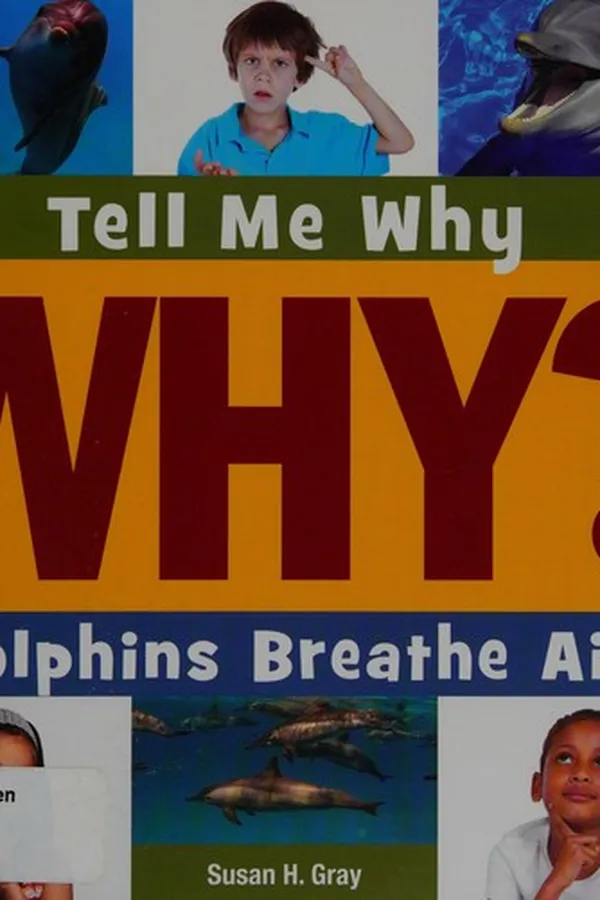 Capa de Dolphins breathe air