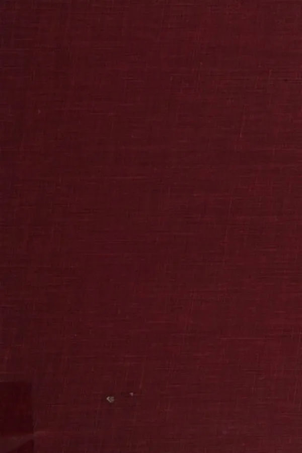 Capa de The fin-de-siècle culture of adolescence
