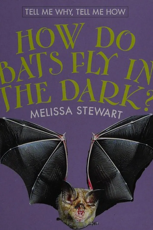 Capa de How do bats fly in the dark?