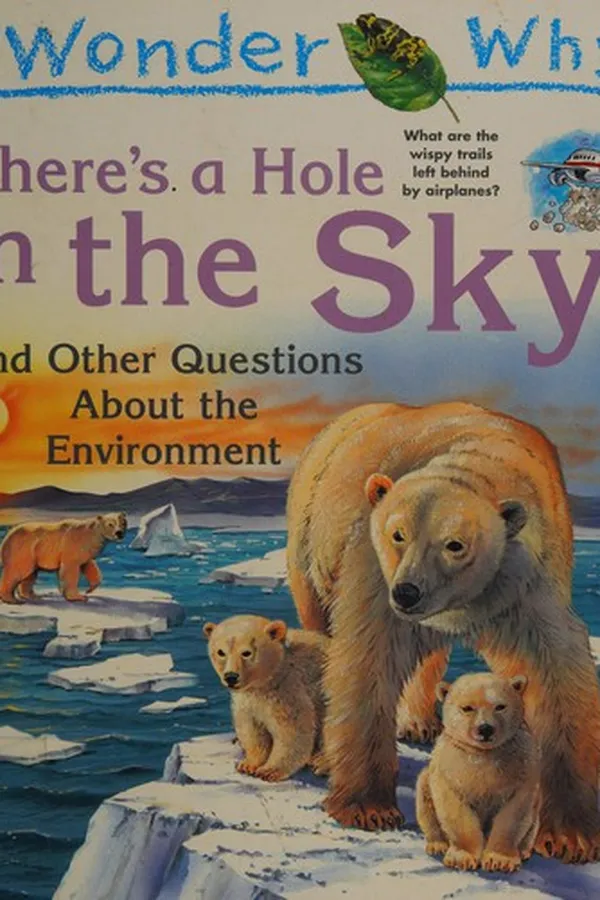 Capa de I wonder why there's a hole in the sky and other questions about the environment