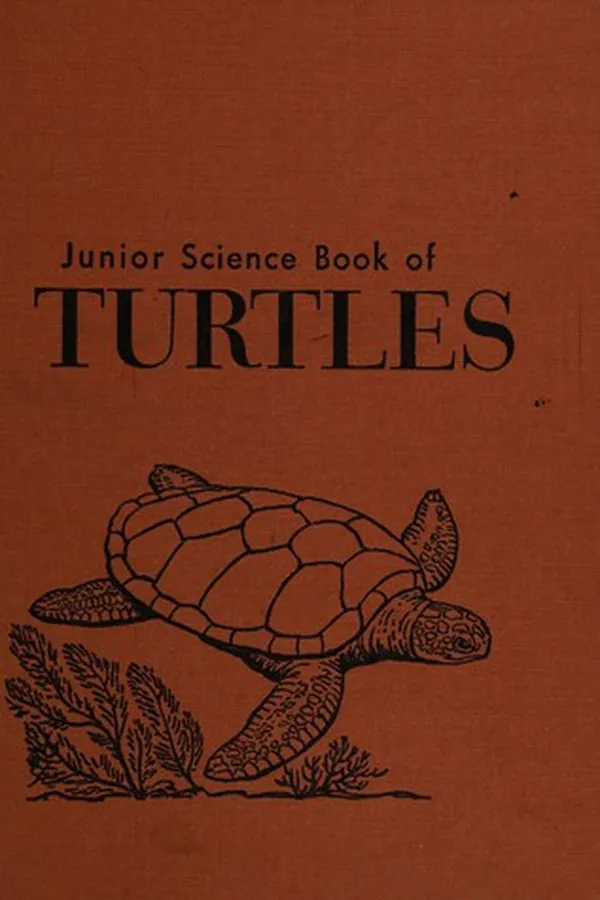 Capa de Junior science book of turtles