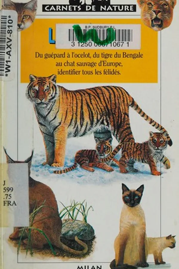 Capa de Les félins
