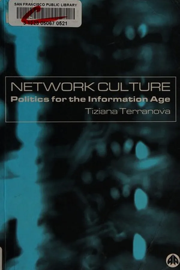 Capa de NETWORK CULTURE: POLITICS FOR THE INFORMATION AGE