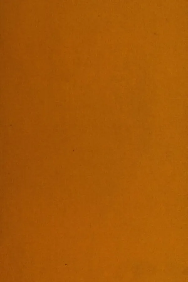 Capa de The preposterous adventures of Swimmer