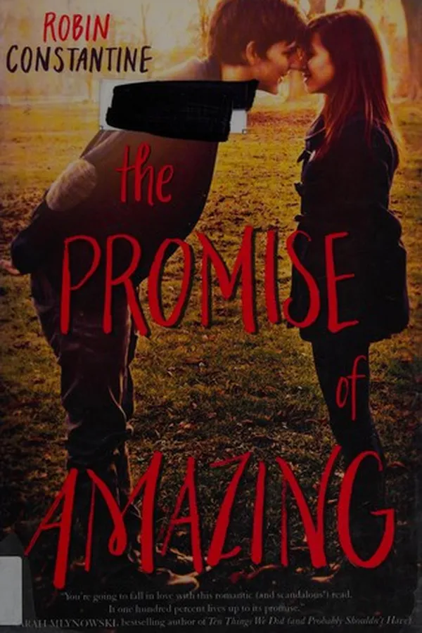 Capa de The promise of amazing