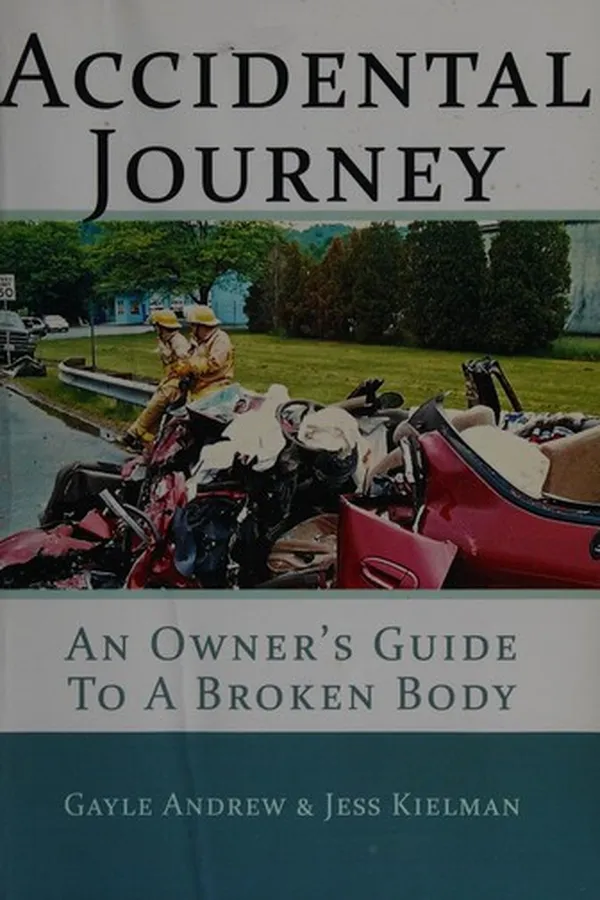 Capa de Accidental journey