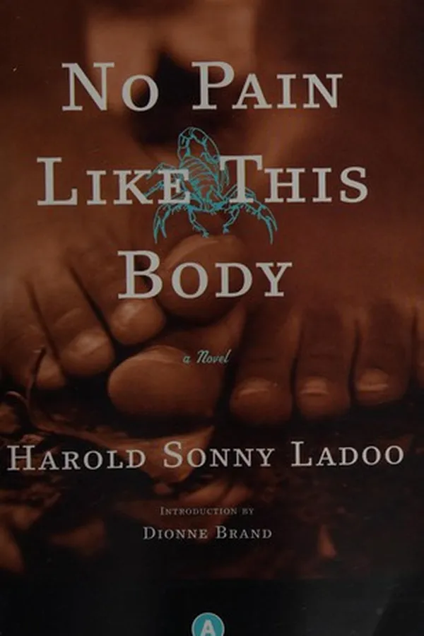 Capa de No pain like this body