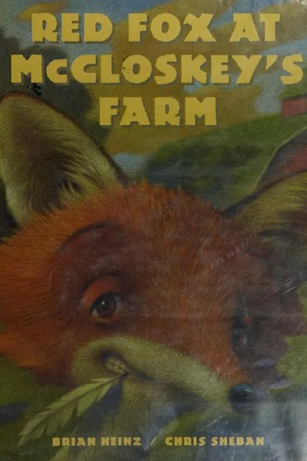 Capa de Red Fox at McCloskey's farm