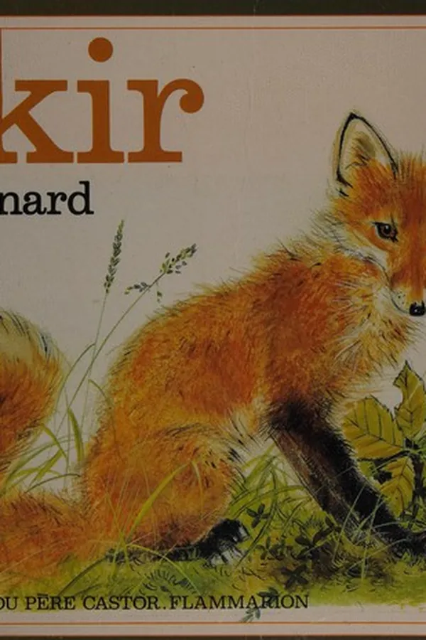 Capa de Skir, le renard