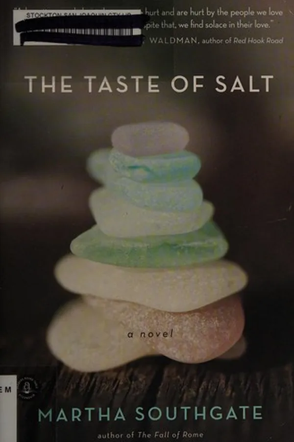 Capa de The taste of salt