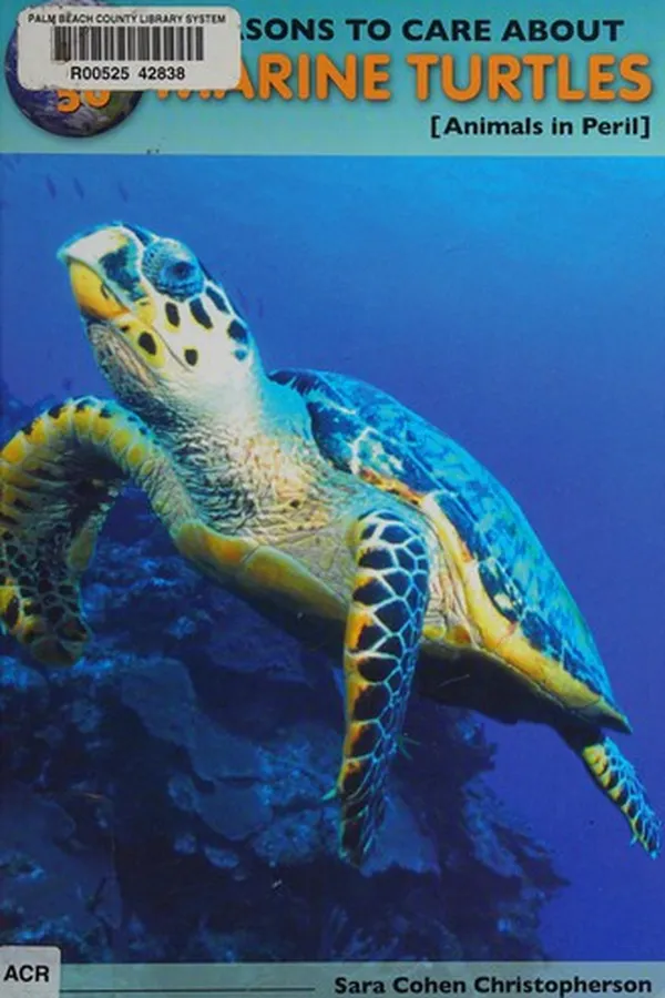 Capa de Top 50 reasons to care about marine turtles