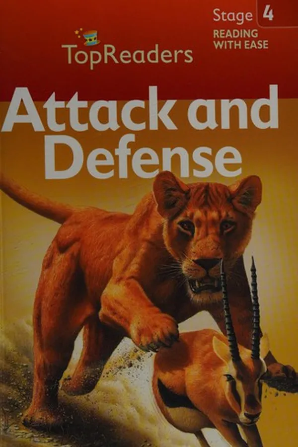 Capa de Attack and defense