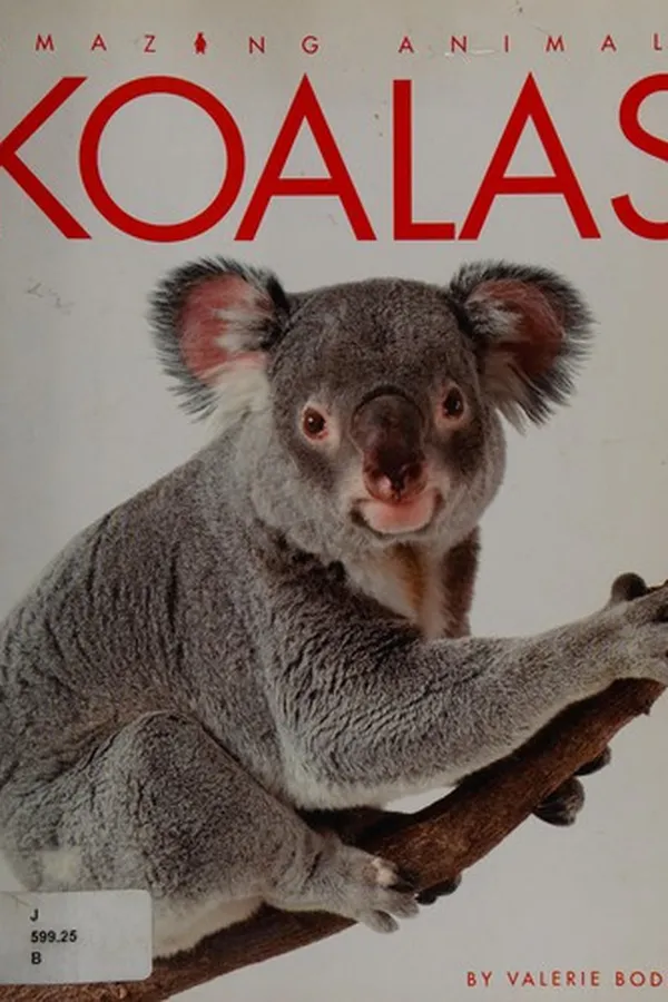 Capa de Koalas