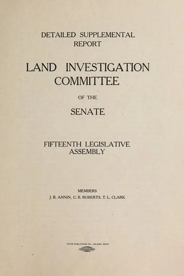 Capa de Detailed supplemental report