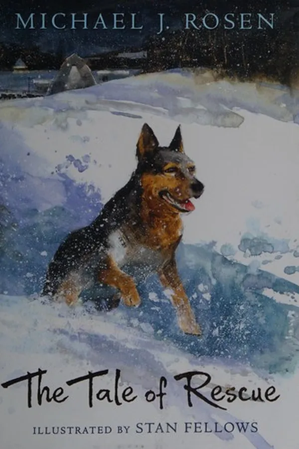 Capa de The tale of rescue