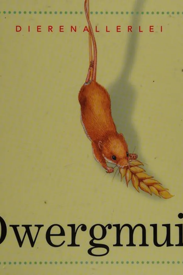Capa de Dwergmuis