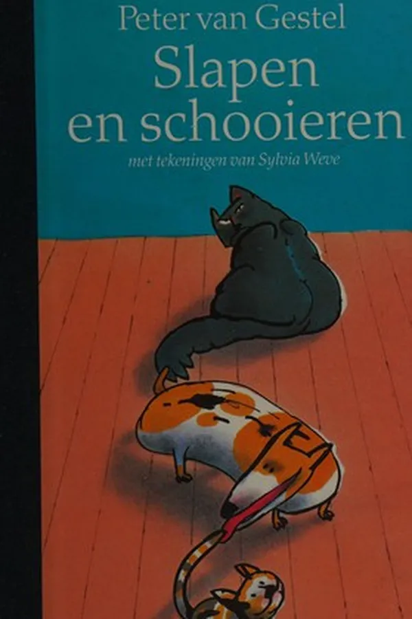 Cover of Slapen en schooieren