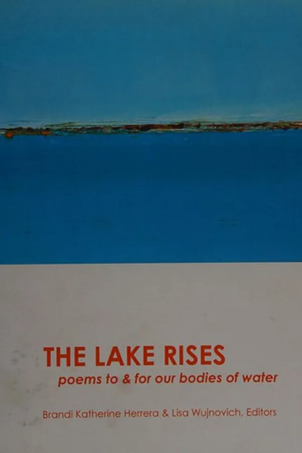 Cover of The Lake Rises