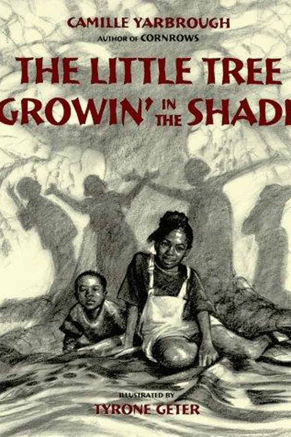 Capa de Little tree growing in the shade