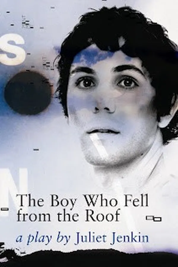Capa de The boy who fell from the roof