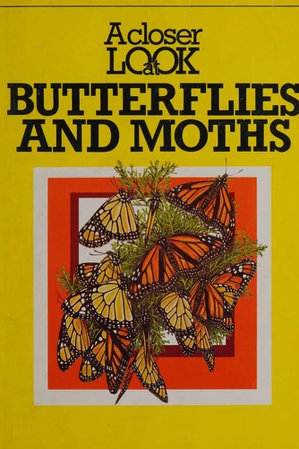 Capa de A closer look at butterflies and moths