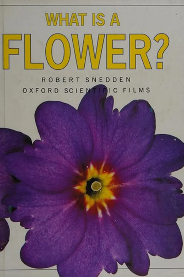 Cover of What Is a Flower? (What Is a)